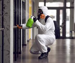 Best Mold Odor Removal Services  in Prichard, AL